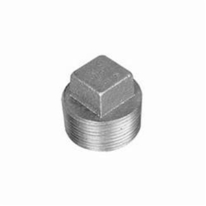 Ward Mfg D.BSP Regular Square Head Pipe Plug