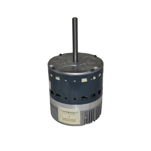 Blower Motor