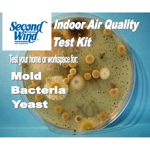 Test for Bacteria, Yeast & Mold