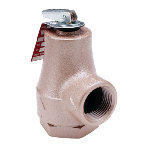 3/4 FPT Pressure Relief 30# 550000 Btu