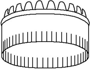 8in Collar Crimped  #012